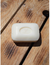 Fleur de frangipanier